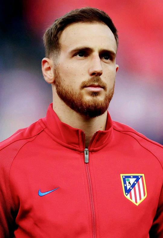 扬·奥布拉克头像