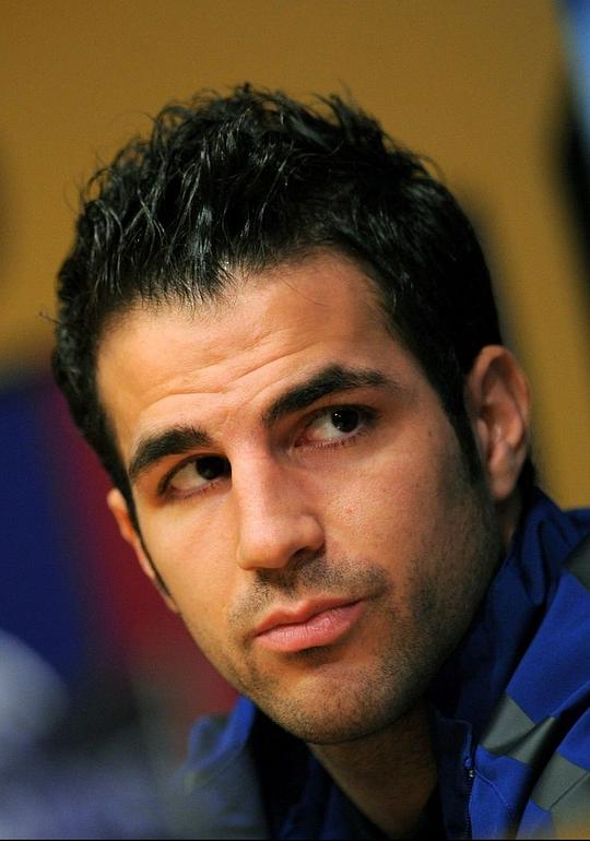 塞斯克·法布雷加斯头像