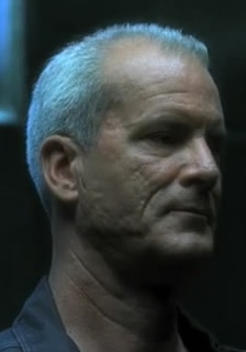 迈克尔·肖姆斯·维尔斯头像