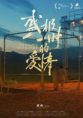 盛极一时的爱情封面图