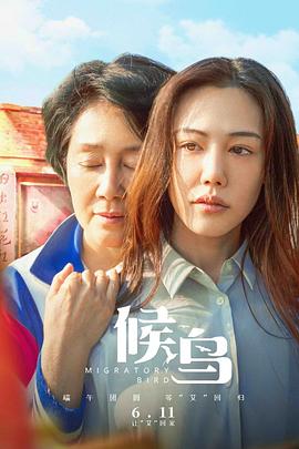 候鸟封面图