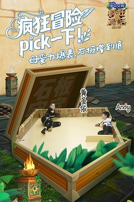 疯狂的麦咭 第五季封面图