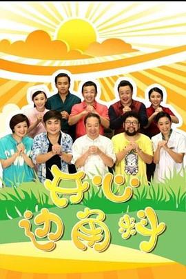 开心边角料封面图