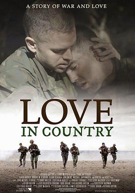 爱的国度封面图