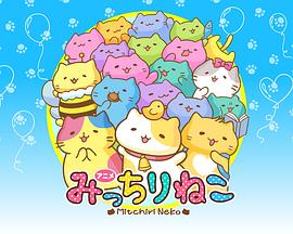 萌猫向前冲封面图