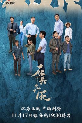 石头开花封面图