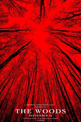 布莱尔女巫封面图