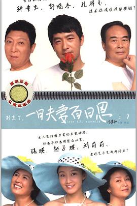 一日夫妻百日恩封面图
