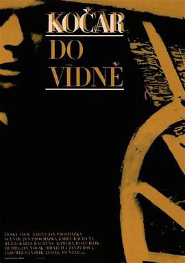 维也纳快车封面图