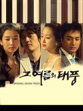 那年夏天的台风封面图