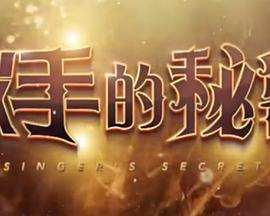 歌手的秘密封面图