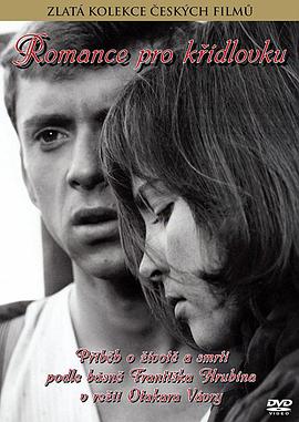 浪漫的军号封面图