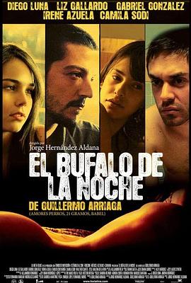 夜间的水牛封面图