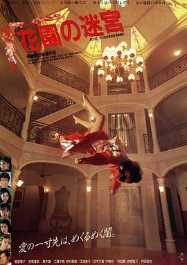 花园的迷宫封面图