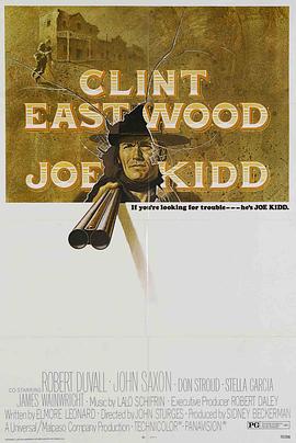 独行神枪侠封面图