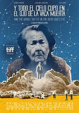 死牛的眼睛能看见整片天空封面图