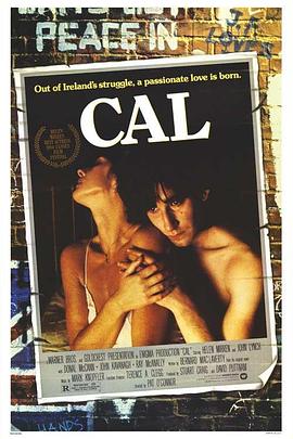 恩怨情天封面图