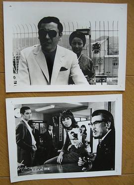 女番长布鲁斯：雌蜂的逆袭封面图