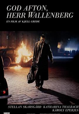 晚安，沃伦伯格先生封面图