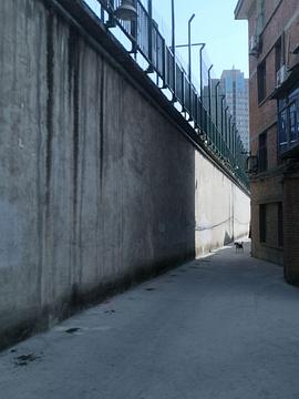 女敢死队封面图