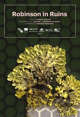 废墟中的罗宾森封面图