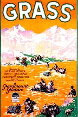 青草：一个民族的生活之战封面图