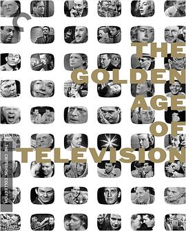 电视的黄金年代封面图