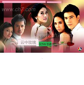 云上的玫瑰封面图