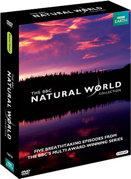 BBC自然世界：抹香鲸:深渊归来封面图