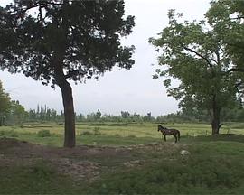 我们如何欢庆自由封面图