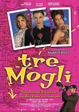 三个妻子封面图