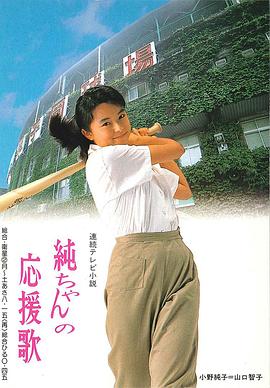 小纯的应援歌封面图