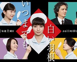 永远的白羽毛封面图