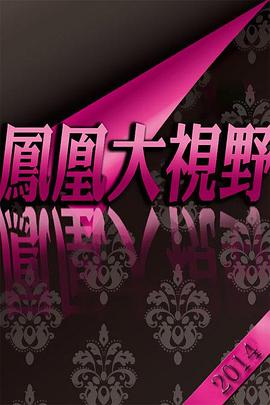 凤凰大视野封面图