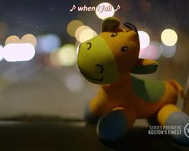 波士顿精英警察 第一季封面图