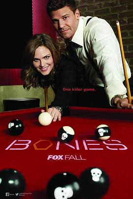 识骨寻踪 第十季封面图