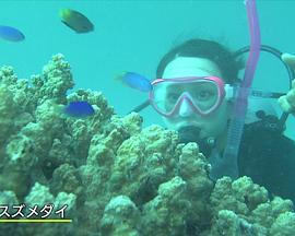 辉く女 堀北真希封面图