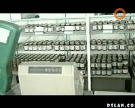 流血解体封面图