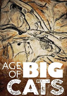 大猫的时代封面图