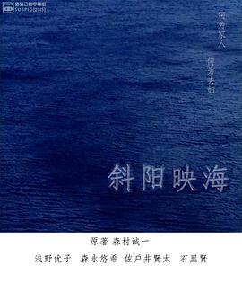 斜阳映海封面图