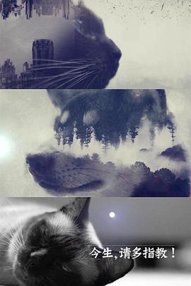 今生，请多指教 第二季封面图