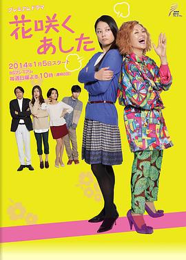 花开明日封面图