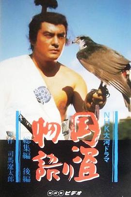 盗国物语封面图