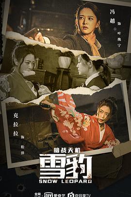 雪豹之暗战天机封面图