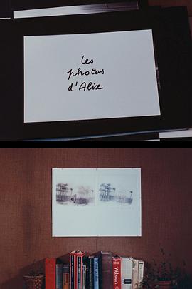 阿历克斯的照片封面图