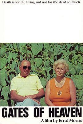 天堂之门封面图