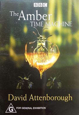 琥珀：时光机器封面图