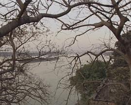 夜精灵的故事封面图