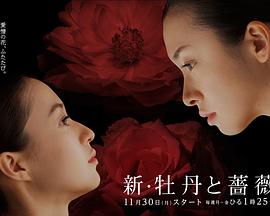 新牡丹与蔷薇封面图