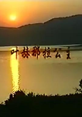 叶赫那拉公主封面图